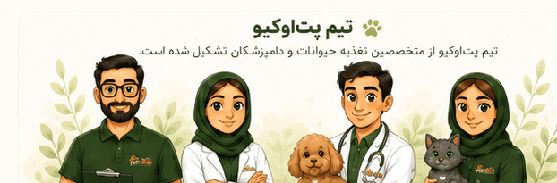 تیم پتاوکیو