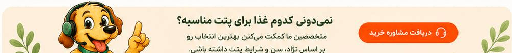 نمیدونی کدوم غذا برای پتت مناسبه؟ مشاوره بگیر